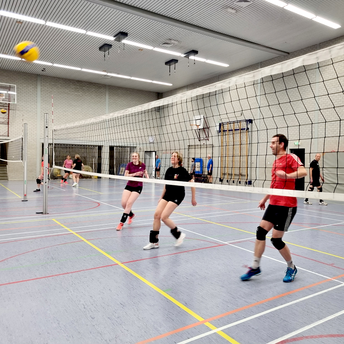 volleybaltraining-have-fun